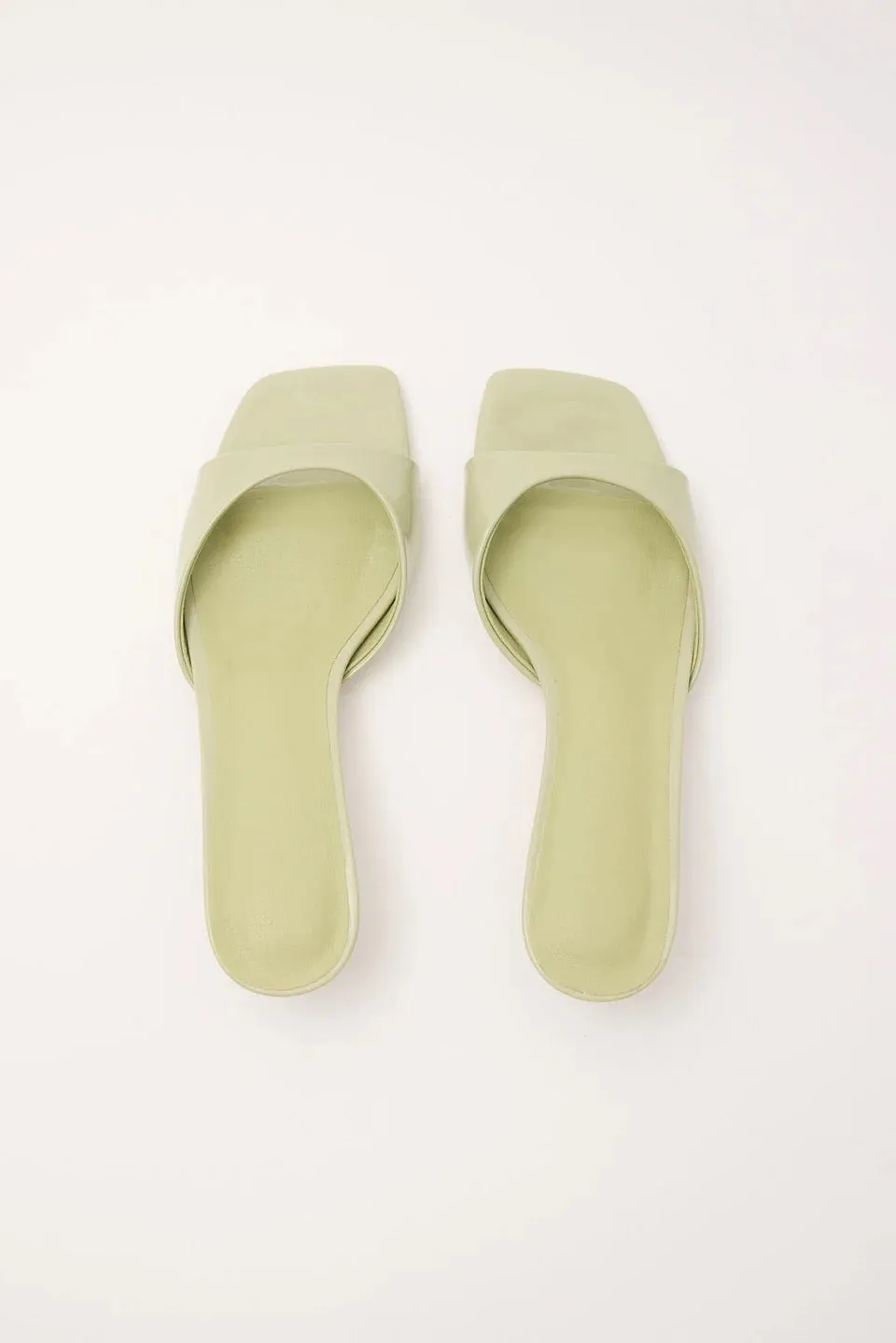 Billini Blossom-Sage Patent